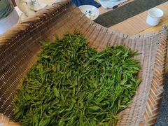 -龙坞茶村