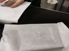 -ARC'TERYX始祖鸟(北京王府中环店)