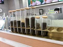 -雾与山茶(大禹城店)