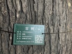 -锅儿挑面馆