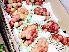 -油麻地果栏