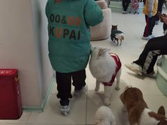 -怪兽屋·羊驼·猫咖·狗咖(俊华广场店)