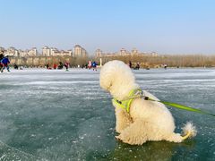 -马家湾湿地公园