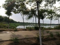 -西青郊野公园