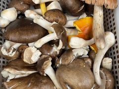 -草墩罗非鱼庄•野生菌•腊排骨(七星街上段店)