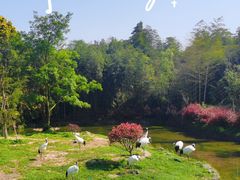 -杭州野生动物世界