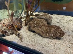 -太平洋海底世界