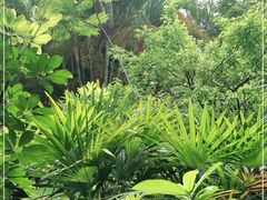 -深圳国际园林花卉博览园