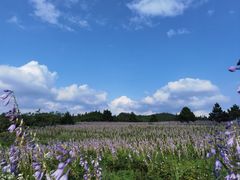-山王坪喀斯特国家生态公园