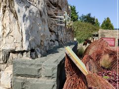 -北京西山国家森林公园