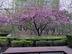 -建国门(地铁站)