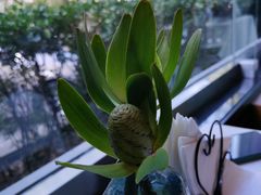 -旺顺阁海鲜广场(亚运村店)