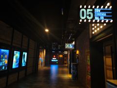 -CGV影城(壹方城IMAX店)