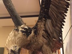 -不倒翁·徽天下名菜楼(马鞍山路店)