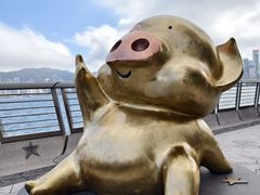 -星光大道