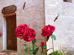 -华谊兄弟（长沙）电影小镇