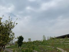 -滆湖低碳生态公园