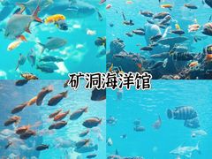 -长鹿旅游休博园