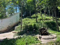 -中国大熊猫保护研究中心雅安碧峰峡基地