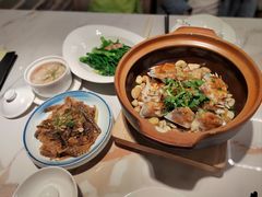 -滋粥楼·顺德菜(番禺广场总店)