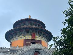 -铁山坪森林公园