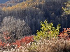 -玉渡山自然风景区