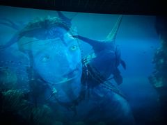 -星河寰宇IMAX影城(星河WORLD·COCO Park店)