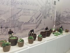 -鄞州雪菜博物馆