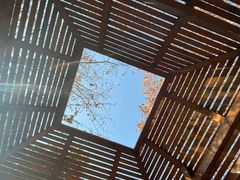 -春晖园度假酒店温泉