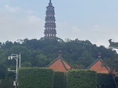 -顺峰山公园
