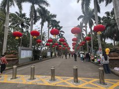 -万绿园