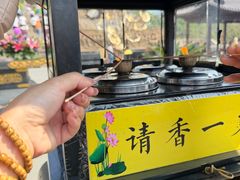 -庐山风景名胜区-东林大佛