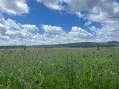 -塞罕坝国家级自然保护区