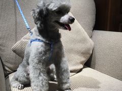 -乐宠宠物店(世纪金源店)