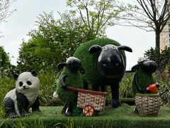 -西安电影制片厂