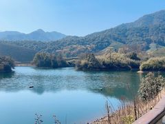 -龙坞茶村