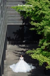 -西安威斯汀大酒店·宴会厅