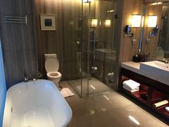 -常州环球恐龙城维景国际大酒店