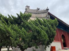 -大钟寺古钟博物馆