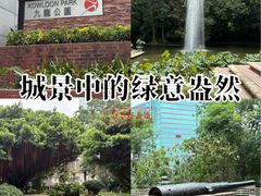 -九龙公园