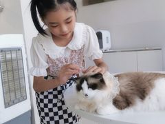 -怪兽屋·羊驼·猫咖·狗咖(俊华广场店)