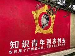 -特克斯八卦城