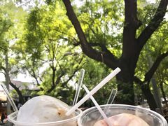 -椰子下蛋(南锣鼓巷店)