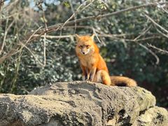 -杭州野生动物世界