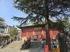 -汝州市汝瓷博物馆