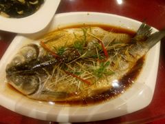 -高第街56号餐厅(宝龙店)