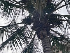 -瑞丽觉觉味道·异国风情(瑞丽大道店)