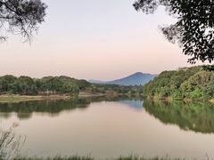 -福建鲤鱼洲酒店