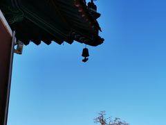 -天津大悲禅院