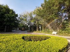 -深圳国际园林花卉博览园